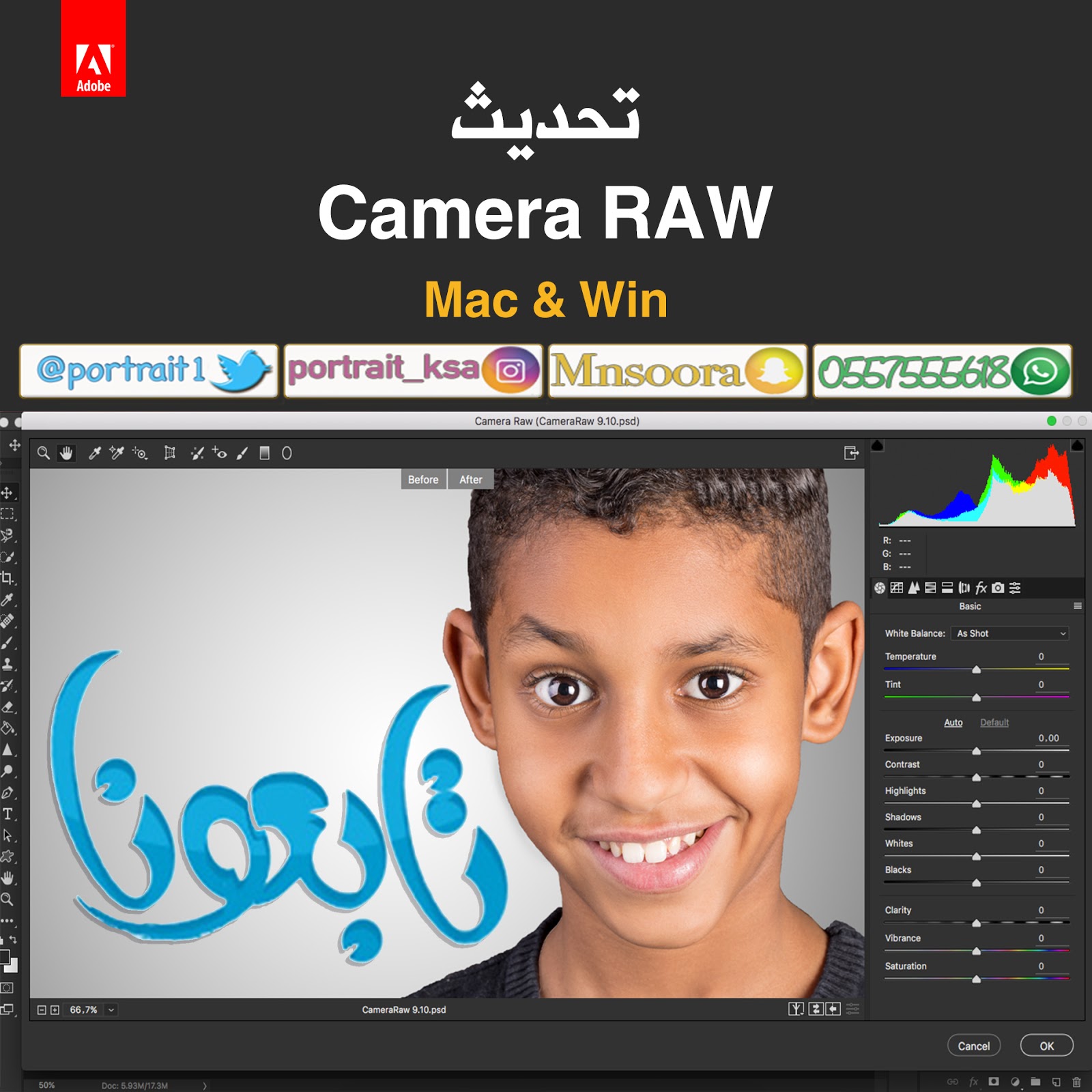 Adobe Camera Raw 9.10 For Mac